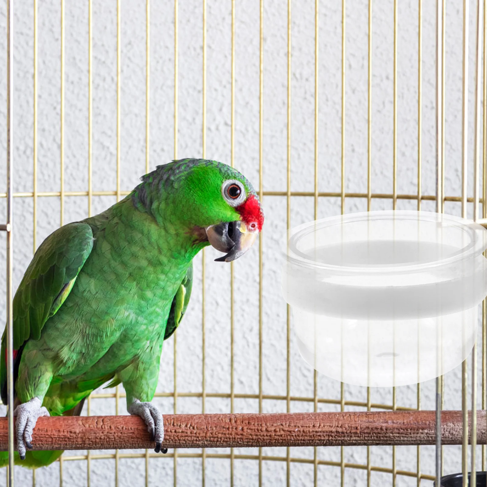 Свалящ се прозрачна Пластмасова купа ясла за по-удобно захващане поилки за папагали Hibiscus PVC