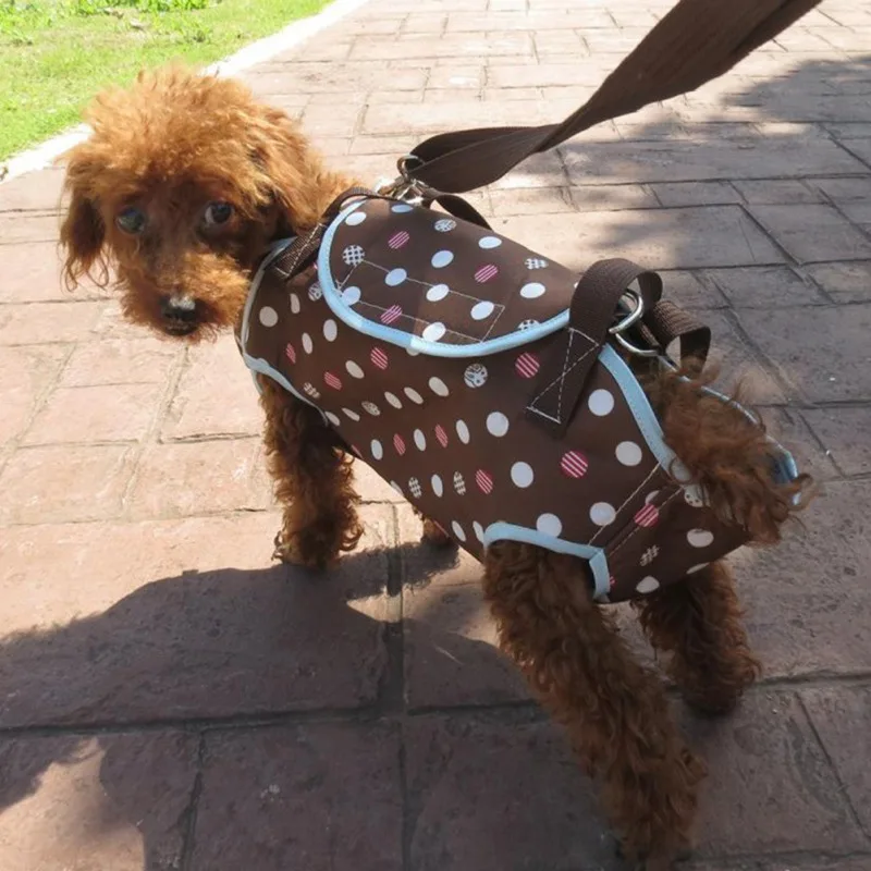 Чанта-раница на Окото за пътуване на открито, дишащи дамски чанти с дръжки за през рамо за превоз на малки кучета и котки para perro
